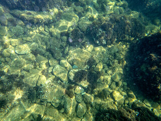 Fondale marino isola Bella Taormina
