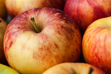 Fototapeta na wymiar red apple close-up
