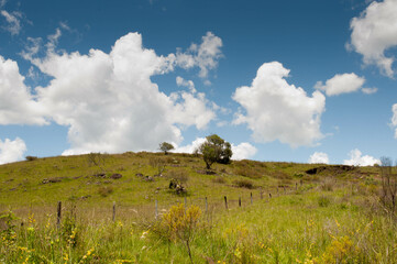 Field photography with clouds in sky