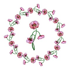 Bright vector flowers pink poppies. Wreath with poppy flowers.