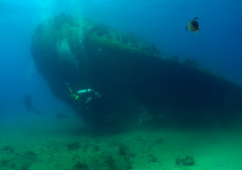 Naklejka na ściany i meble a diver and a sea turtle in a sunken ship