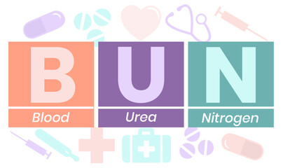 BUN - Blood Urea Nitrogen acronym. medical concept background. Vector illustration for website banner, marketing materials, business presentation, online advertising