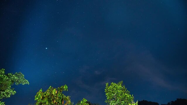Star timelapse over forest of Munnar Kerala India 