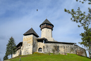 Fototapeta na wymiar Hawk flying above Medieval fortress and walls. 