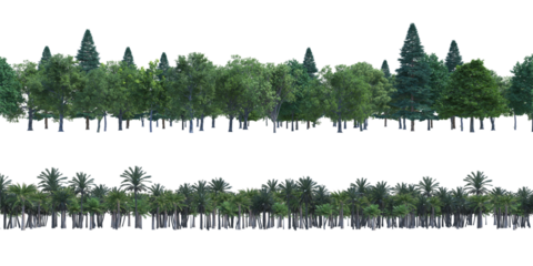 Tree in line and Palm in line png alpha channel set