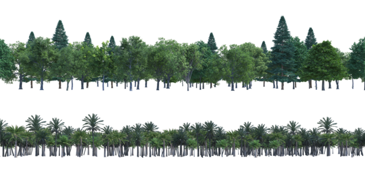 Tree in line and Palm in line png alpha channel set