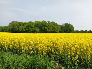 Obraz premium NatureBoy on Tour Momente der Natur