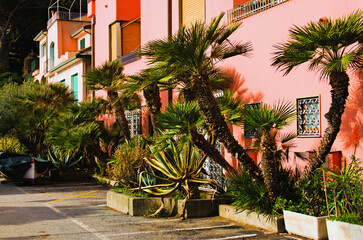 Astonishing landscape view of beautiful pink building decorated by many plants, palms and cacti. Concept of landscape and nature. Romantic and peaceful scene. Vernazza, Cinque Terre villages