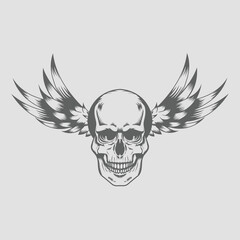 Vector human skull drawing, Human skull front view Illustration.