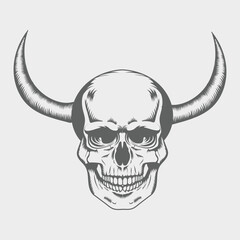 Vector human skull drawing, Human skull front view Illustration.