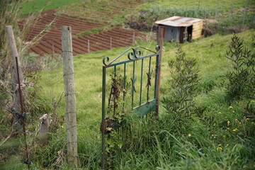 old rusty gate to the garden