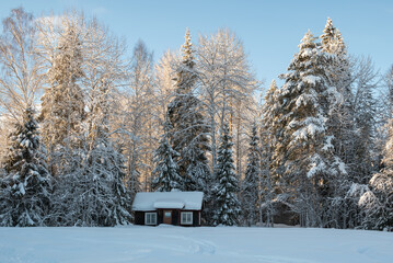 Small cabin in winter landscape.