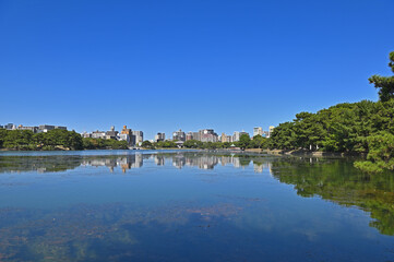 Fototapeta na wymiar 大濠公園「菖蒲島から望む大濠池」