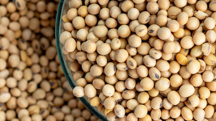 Closeup of soybeans in a glass bowl. 