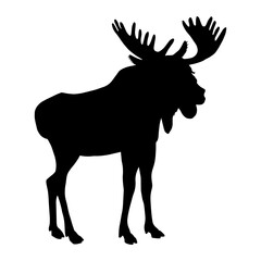 Moose silhouette. Vector stock illustration eps10.