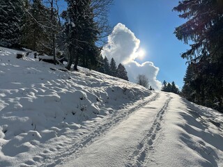 Wonderful winter hiking trails and traces over the Lake Walen or Lake Walenstadt (Walensee) and in the fresh alpine snow cover of the Swiss Alps, Amden - Canton of St. Gallen, Switzerland (Schweiz)