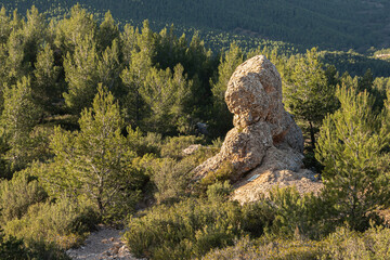 the Sainte Victoire mountain photographed on a winter morning