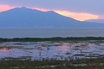 marshes of lake chapala and mountains in background at sunset