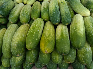 cucumbers in the market