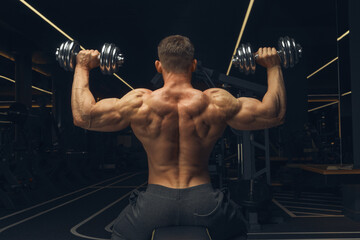 Muscular back. Athletic man lifts dumbbells in gym, view from back. Muscular man weightlifting....