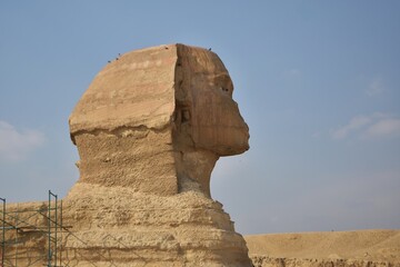 Close up of the head of the Great Sphinx of Giza, Cairo, Egypt. 