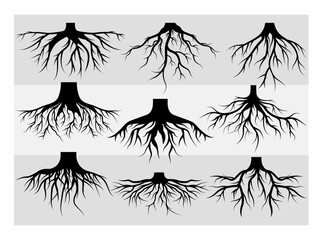 Root SVG, Root, Taproot, Tree Roots, Roots Clipart, Family Tree, Clipart, Silhouette, SVG, Root Hair, Eps, Vector - obrazy, fototapety, plakaty