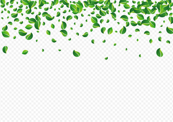 Mint Greens Blur Vector Transparent Background.