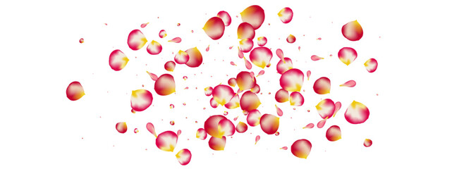 Delicate Petal Japanese Vector Panoramic White