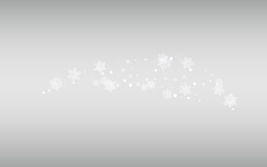 Winter Snowflake Vector Silver Background.