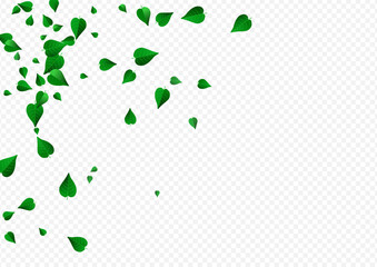 Green Leaves Swirl Vector Transparent Background