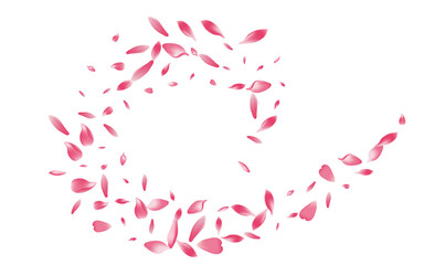 White Cherry Petal Vector White Background. Color