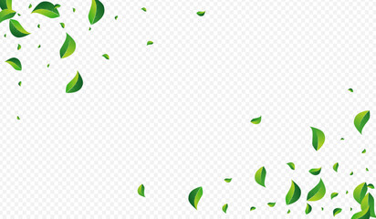 Green Leaves Fresh Vector Transparent Background.