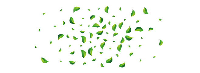 Lime Leaf Wind Vector Panoramic White Background.