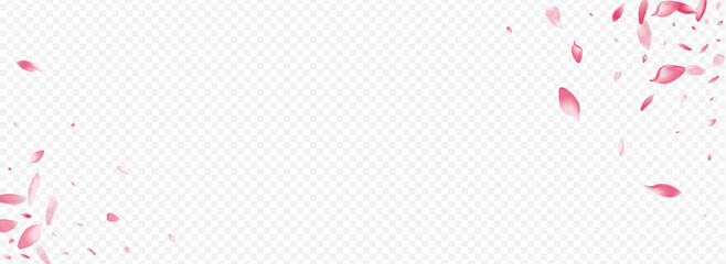 Light Rose Vector Panoramic Transparent