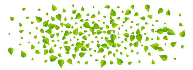 Grassy Leaves Forest Vector Panoramic White