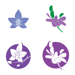 Orchid vector flower isolated on white background