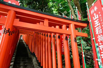 昼間の赤坂山王日枝神社の連続した鳥居