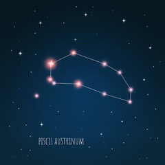 Obraz na płótnie Canvas Constellation scheme in starry sky. Open space. Vector illustration Piscis Austrinus constellation through a telescope