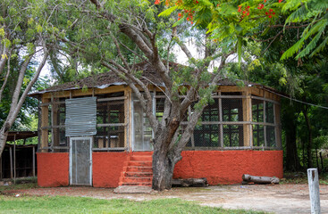 Village cock fighting cage and arena in a small rural town of the Dominican Republic, painted...