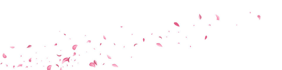 Delicate Lotus Fall Vector White Panoramic