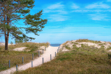 Fototapeta na wymiar Dünenweg zum Strand bei Ahlbeck auf Insel Usedom