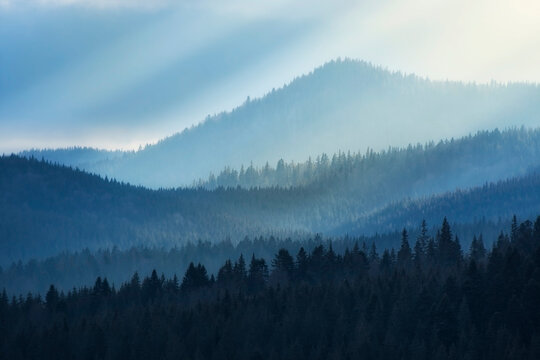 Mountain view on a sunny day. Sunrays from clouds shining down to mountains. Silhouettes of trees on the mountains. © imartsenyuk