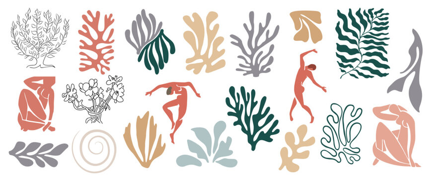 Set Of Abstract Hand Drawn Organic Shapes, Exotic Jungle Leaves, Female Nude Silhouettes, Leaves And Algae In Trendy Matisse Inspired Art Style. Contemporary Art Vector Illustrations Isolated On White