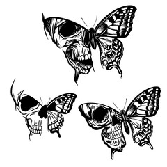 Butterflies with skull on wings, hand drawn vector art with tattoo style
