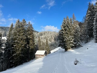 Indigenous alpine huts and wooden cattle stables in the Swiss Alps covered with fresh first snow over the Lake Walen or Lake Walenstadt (Walensee), Amden - Canton of St. Gallen, Switzerland / Schweiz