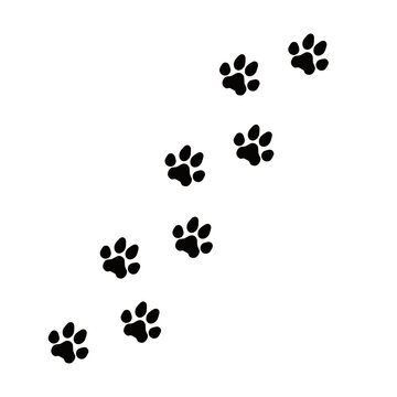 Animal Tracks Paw Prints Nature Vector Icon Illustration Silhouette