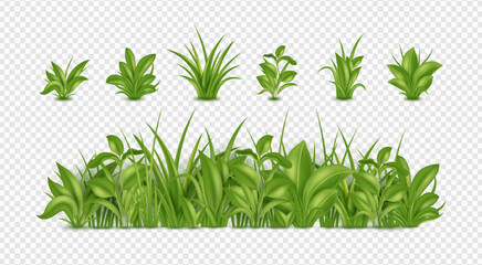 3d green grass, garden weed. Realistic farm summer field for herbal landscape, sprouts in meadow, spring outdoor border. Botanical border and isolated 3d elements. Vector illustration set