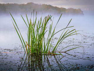 Wonderful views of a foggy morning on the river in autumn