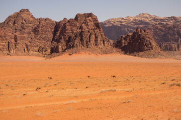 Fototapeta na wymiar Wadi Rum Wüste in Jordanien mit roten Felsen