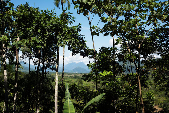 mountain view from above with some green view,rain forest hills with layering of mountain , and the village on the far with river amazonic jungle ,tingo maria peru and sky clouds